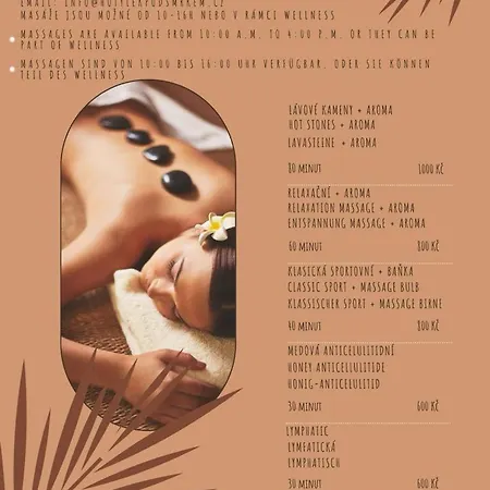Hotylek Pod Smrkem Hotel Harrachov