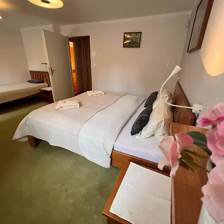 Hotylek Pod Smrkem Hotel *