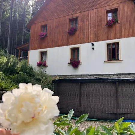 Hotylek Pod Smrkem Hotel Harrachov