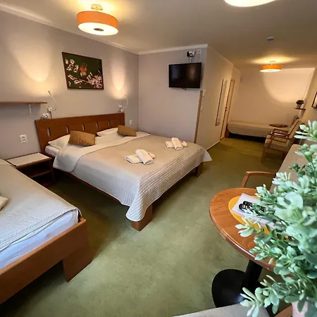 Hotylek Pod Smrkem Hotel *