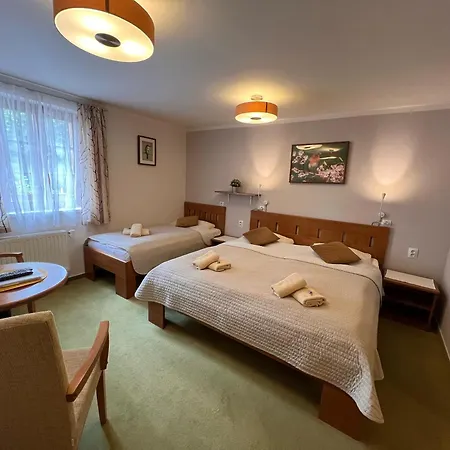 Hotylek Pod Smrkem Hotel Harrachov