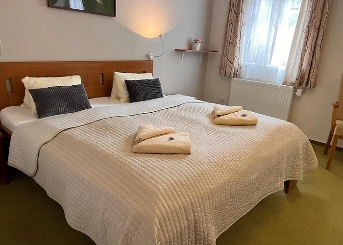 Hotylek Pod Smrkem Hotel Harrachov