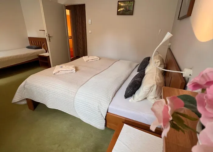 Hotylek Pod Smrkem Hotel *