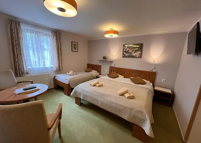 Hotylek Pod Smrkem Hotel Harrachov