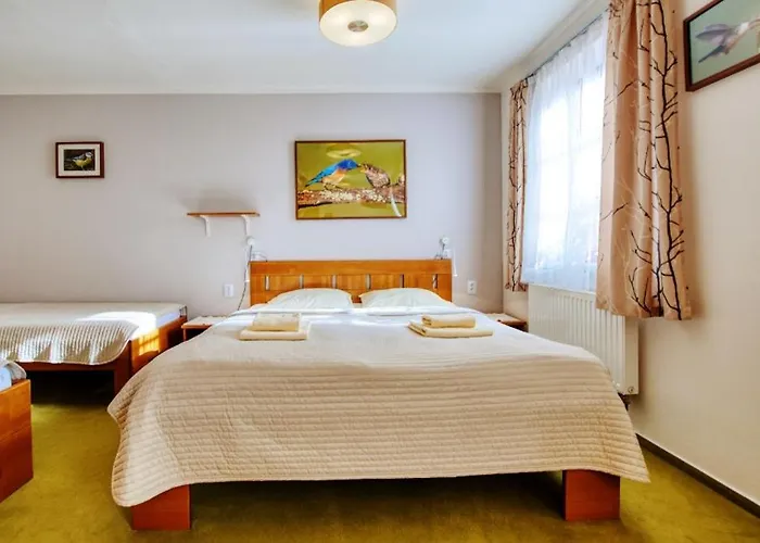 Hotel Hotylek Pod Smrkem
