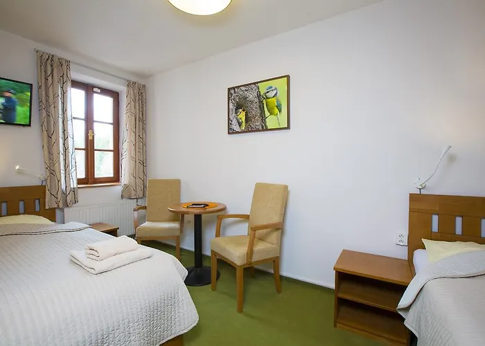 Hotel Hotylek Pod Smrkem *